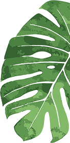 About leaf 2