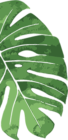 Video leaf 1