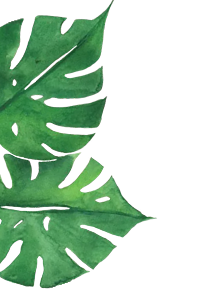 About leaf 1