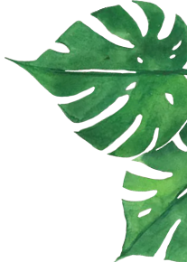 Video leaf 2